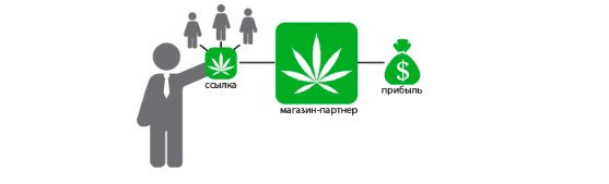 Сотрудничество с GanjaLiveSeeds