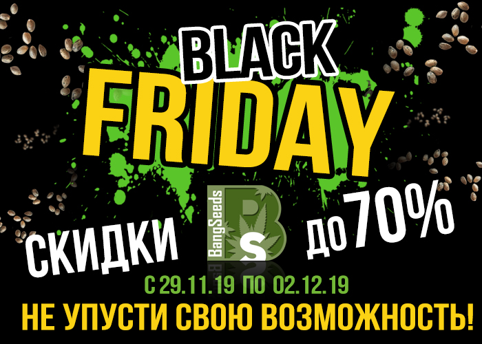 Black Friday на BangSeeds 