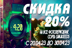 ​В 4:20 с GanjaSeeds!